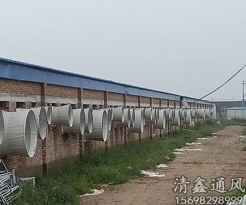 养殖施工案例-工人实拍
